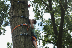 Scouting-60-jaar-Laurencia-van-den-Berg39-scaled